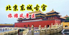 美国英文大鸡巴操逼视频免费看中国北京-东城古宫旅游风景区